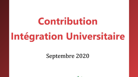 Contribution Intégration Universitaire